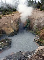 Yellowstone Mud Volcano Area (23).JPG